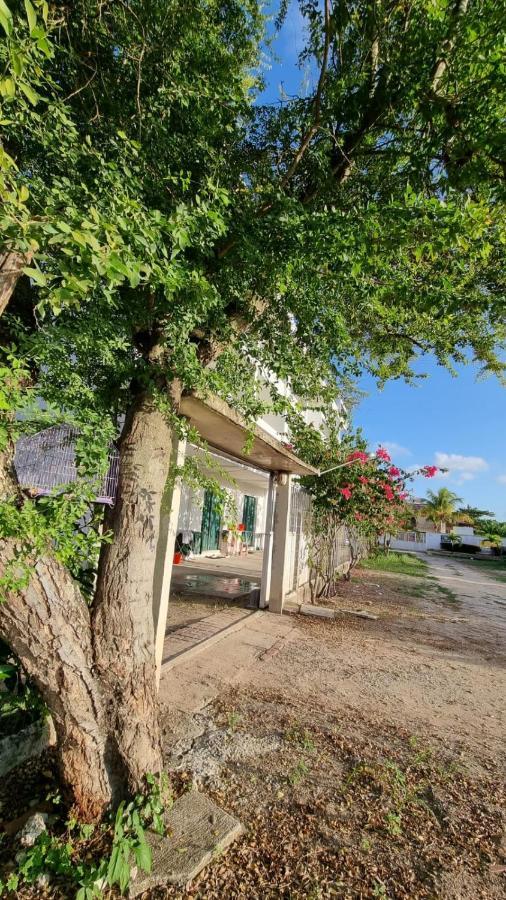 Pôrto das Galinhas Solar Teixeira Flats酒店 外观 照片